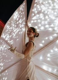 Spettacolo Itinerante con Farfalle luminose su trampoli per Notti bianche, feste per borghi medievali e festival