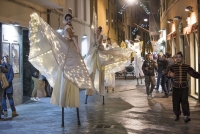 farfalle luminose
