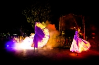 farfalle luminose e spettacolo finale