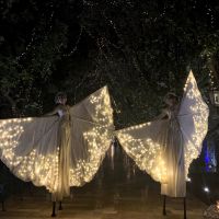spettacolo farfalle luminose led su trampoli per matrimonio