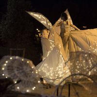 spettacolo farfalle luminose led butterfly per feste di paese